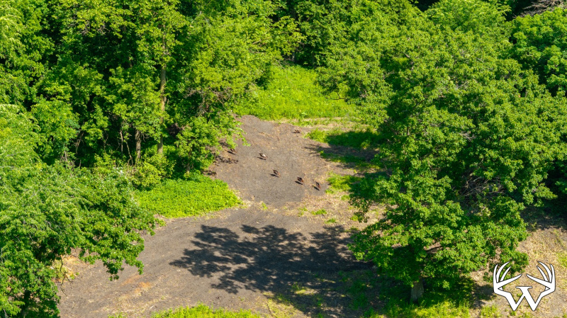 DJI_20260603155854_0255_D.jpg