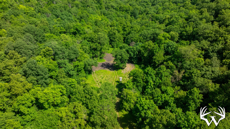 DJI_20260603155929_0259_D.jpg