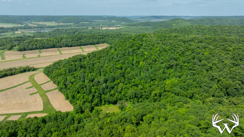 DJI_20260603160050_0263_D.jpg