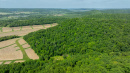 DJI_20260603160050_0263_D.jpg