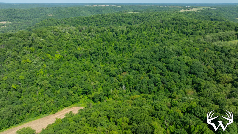 DJI_20260603160204_0265_D.jpg