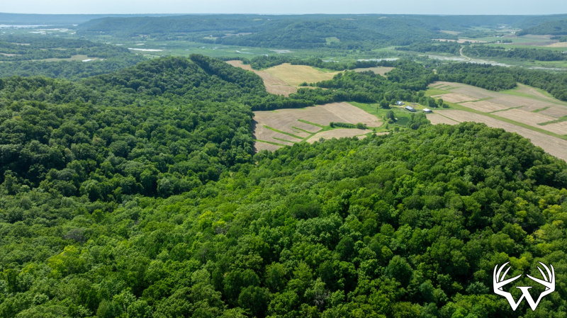DJI_20260603160306_0269_D.jpg