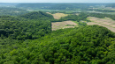DJI_20260603160306_0269_D.jpg