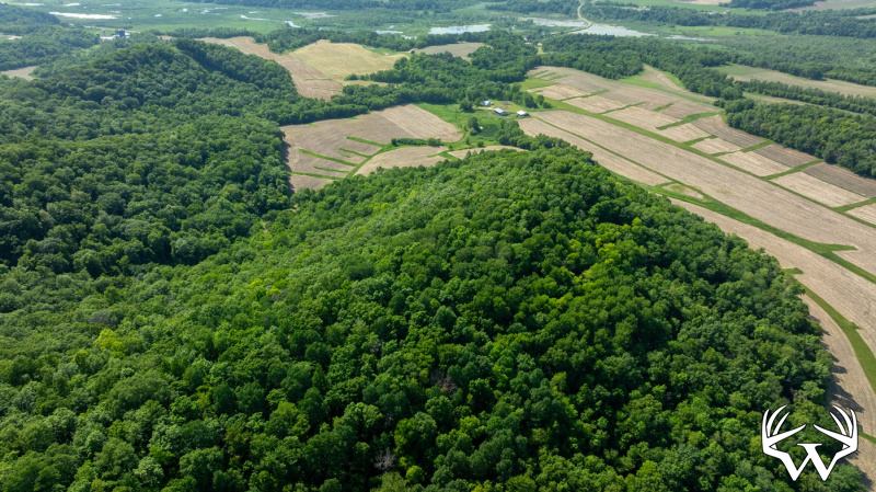 DJI_20260603160330_0270_D.jpg