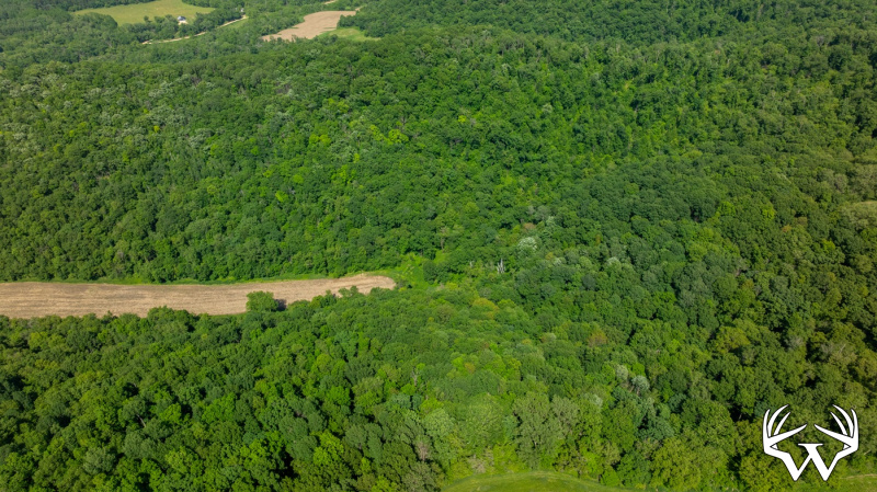 DJI_20260603160444_0272_D.jpg