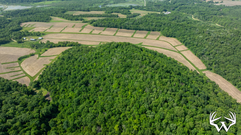 DJI_20260603160450_0273_D.jpg