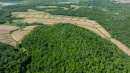 DJI_20260603160450_0273_D.jpg