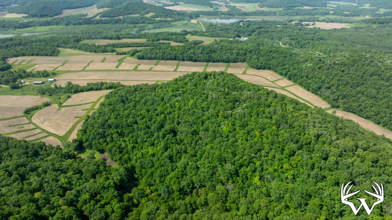 DJI_20260603160507_0274_D.jpg