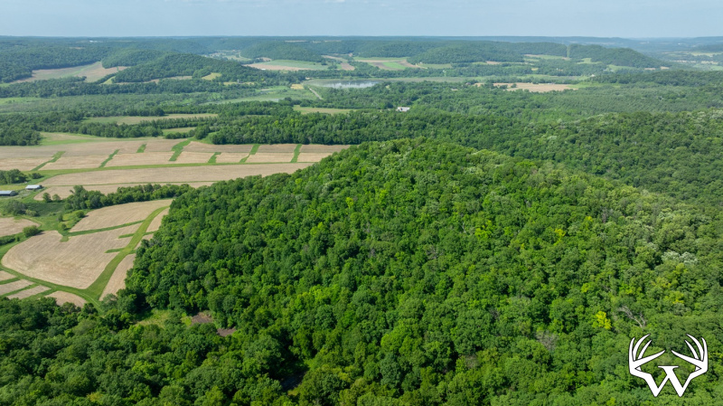 DJI_20260603160522_0275_D.jpg