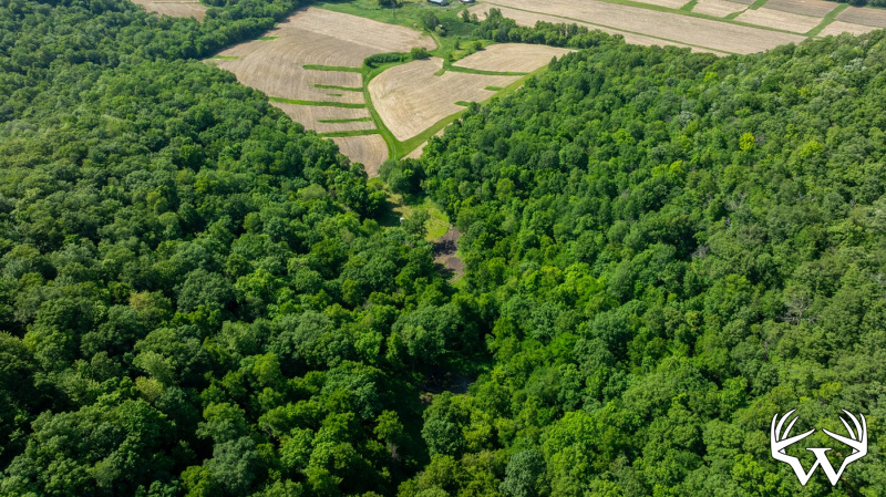 DJI_20260603160539_0276_D.jpg