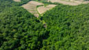 DJI_20260603160539_0276_D.jpg