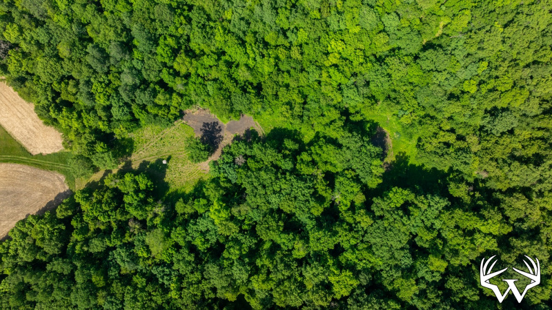 DJI_20260603160636_0278_D.jpg