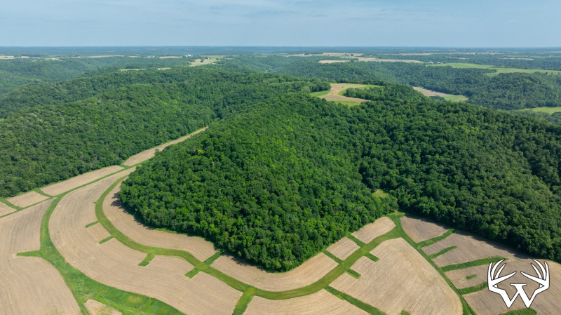 DJI_20260603160746_0280_D.jpg