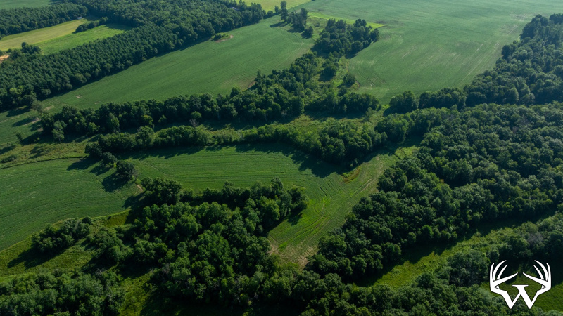 DJI_20260712083921_0508_D.jpg