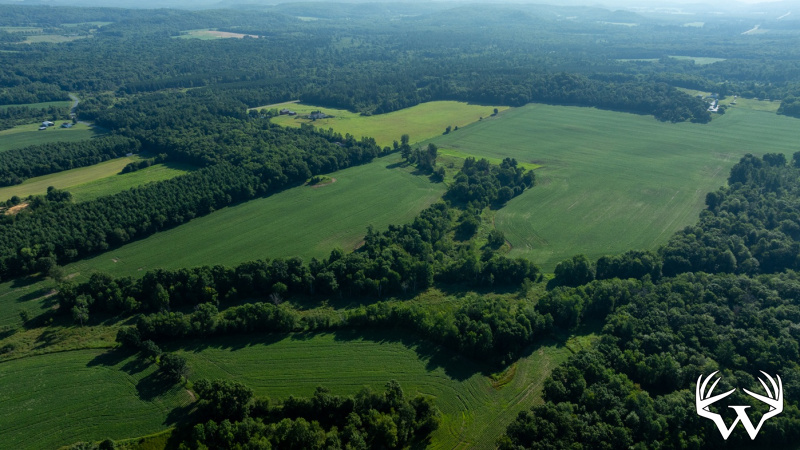 DJI_20260712083931_0509_D_1.jpg