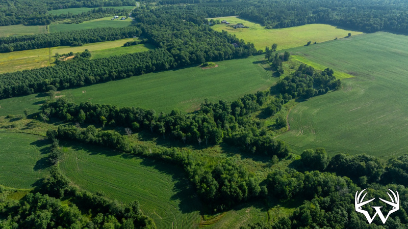 DJI_20260712083949_0510_D.jpg