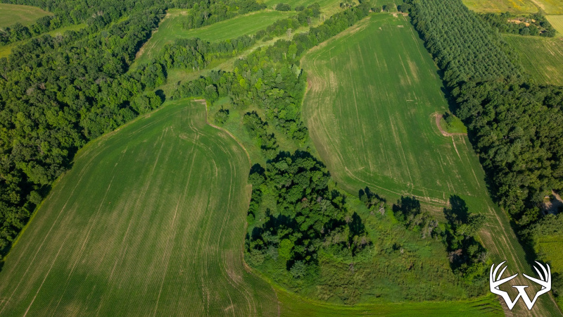 DJI_20260712084125_0515_D.jpg