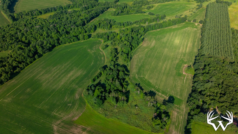 DJI_20260712084141_0516_D.jpg
