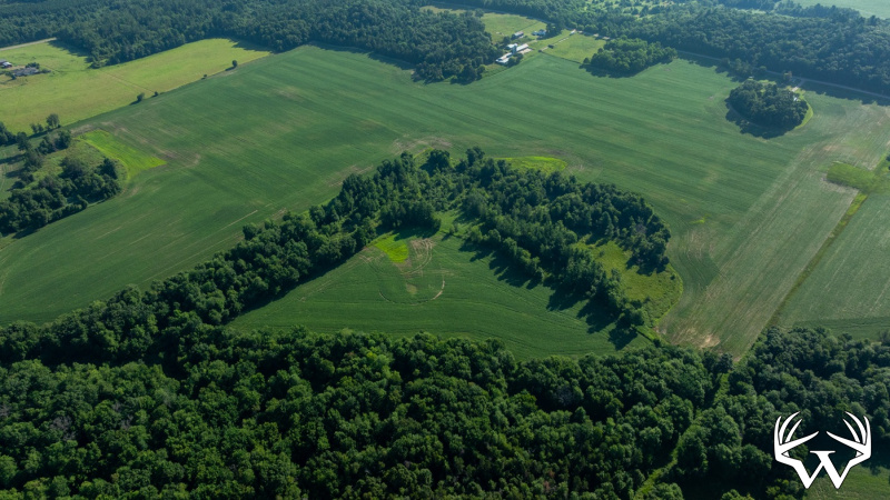 DJI_20260712084521_0521_D.jpg