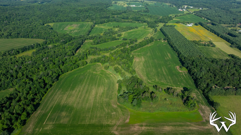 DJI_20260712084846_0531_D.jpg