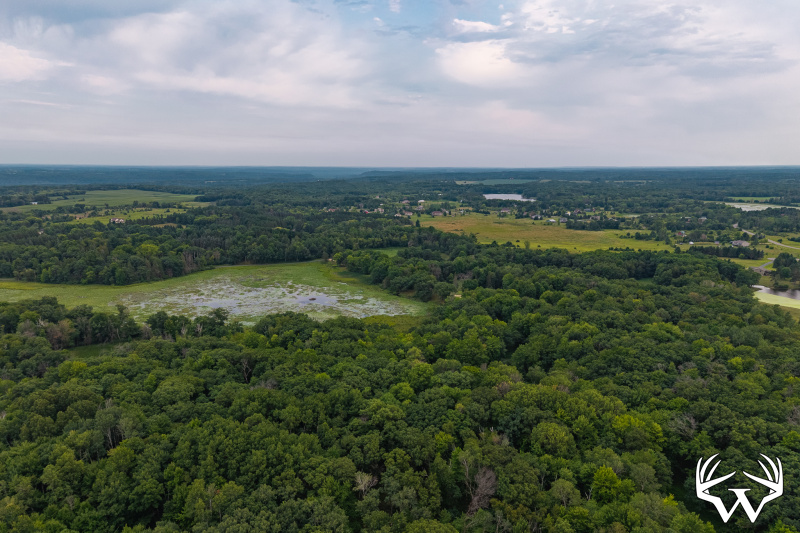 DJI_20260803190752_0006_D-HDR.jpg