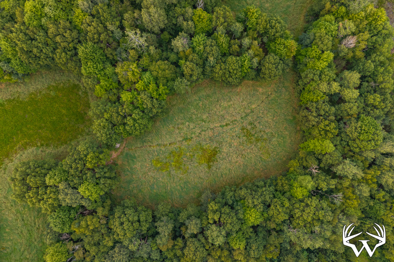 DJI_20260803191649_0086_D-HDR.jpg