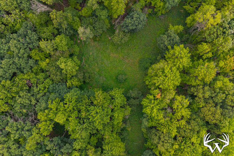 DJI_20260803191740_0096_D-HDR.jpg