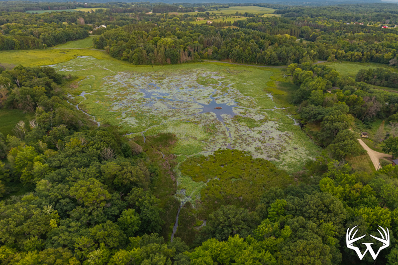 DJI_20260803191803_0101_D-HDR.jpg