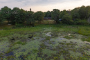 DJI_20260803191936_0116_D-HDR.jpg