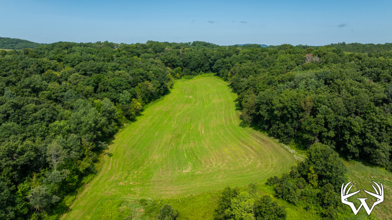 DJI_20260806110421_0774_D.jpg
