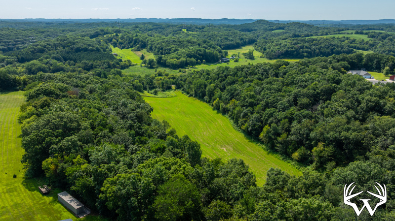 DJI_20260806110800_0785_D.jpg