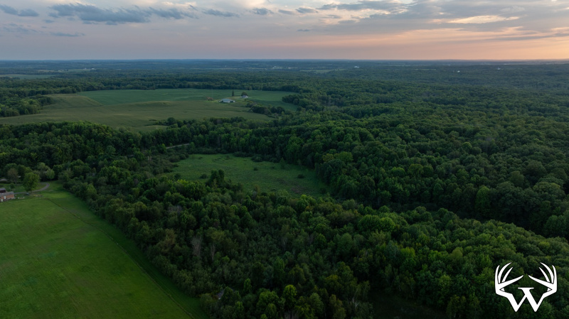 DJI_20260818195555_0891_D.jpg