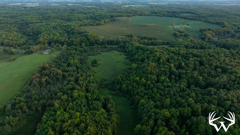DJI_20260818195721_0892_D.jpg
