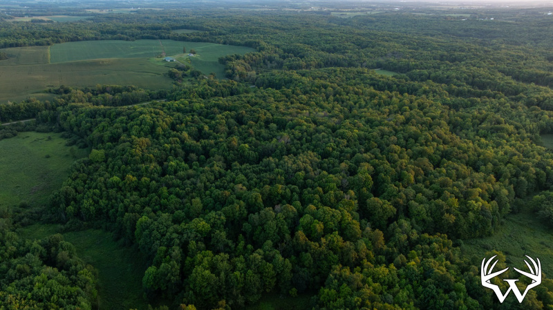 DJI_20260818195730_0893_D.jpg