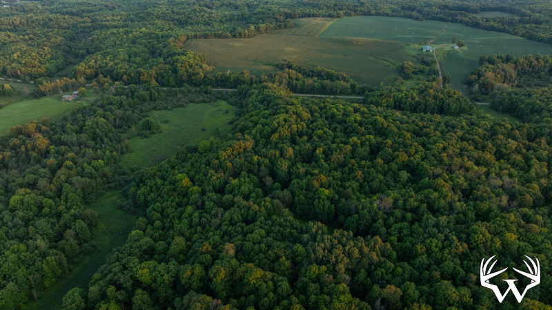 DJI_20260818195756_0894_D.jpg