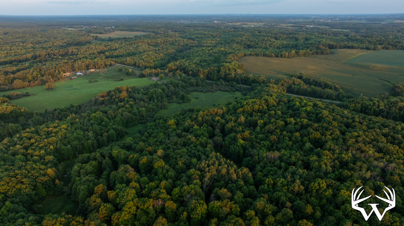 DJI_20260818195826_0896_D.jpg