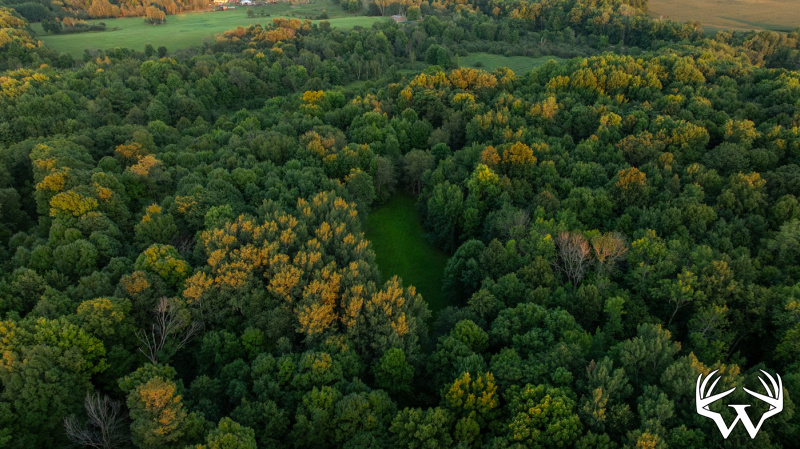 DJI_20260818195920_0900_D.jpg