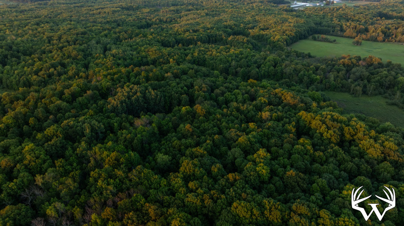 DJI_20260818200135_0907_D.jpg
