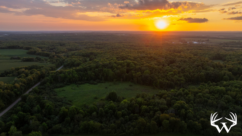 DJI_20260818200602_0921_D.jpg