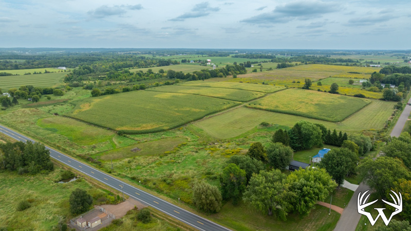DJI_20260831142338_0991_D.jpg
