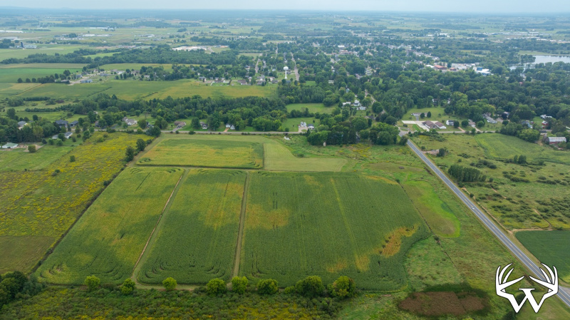 DJI_20260831142621_0995_D.jpg