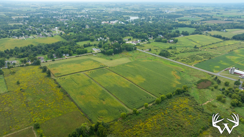 DJI_20260831142647_0996_D.jpg