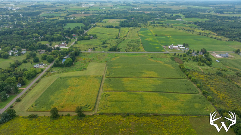 DJI_20260831142737_0998_D.jpg