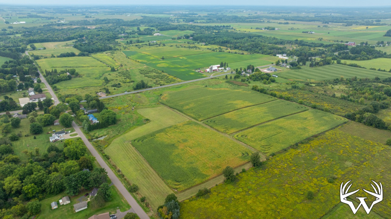 DJI_20260831142804_0999_D.jpg