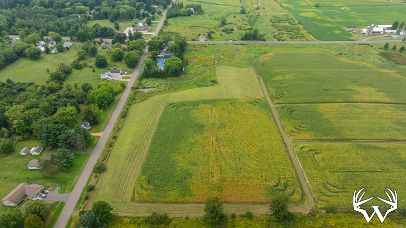 DJI_20260831142834_0001_D.jpg