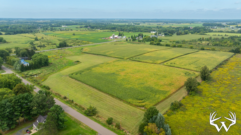 DJI_20260831142902_0002_D.jpg
