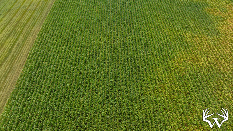 DJI_20260831142927_0003_D.jpg