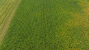 DJI_20260831142927_0003_D.jpg