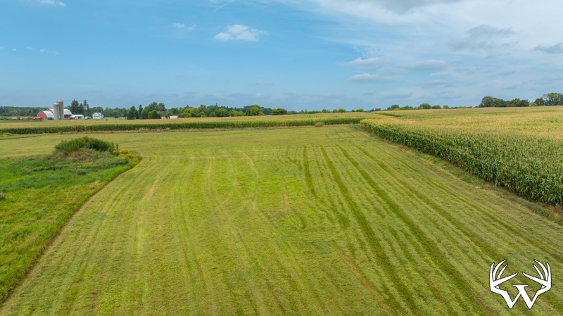 DJI_20260831142956_0005_D.jpg