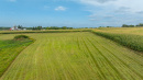 DJI_20260831142956_0005_D.jpg